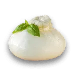 Burrata