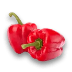 Pimiento